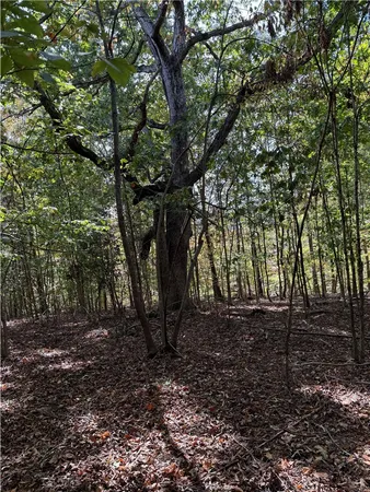 $300,000 | 0 Hunters Trail, Anderson, SC 29625