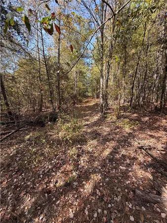 $300,000 | 0 Hunters Trail, Anderson, SC 29625