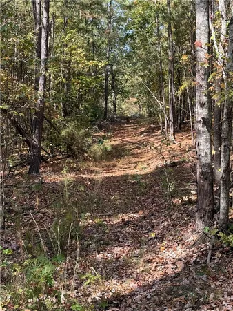 $300,000 | 0 Hunters Trail, Anderson, SC 29625