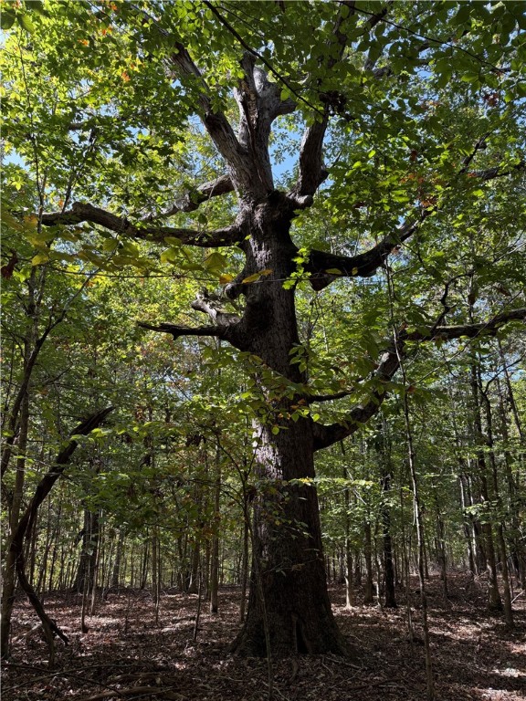 0 Hunters Trail Anderson, SC 29625 - Photo 4 of 14
