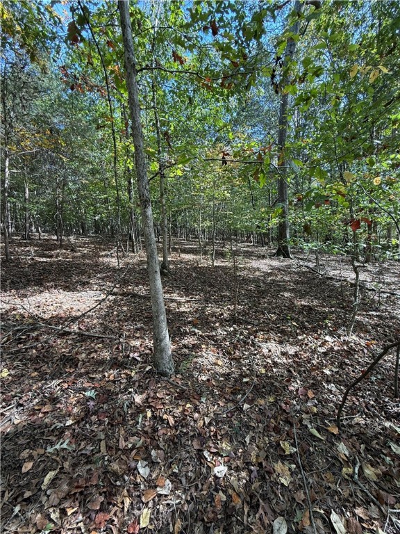0 Hunters Trail Anderson, SC 29625 - Photo 5 of 14