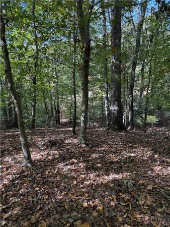$300,000 | 0 Hunters Trail, Anderson, SC 29625