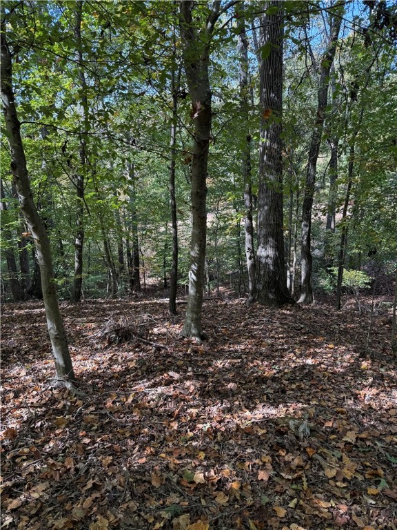 0 Hunters Trail Anderson, SC 29625 - Photo 6 of 14