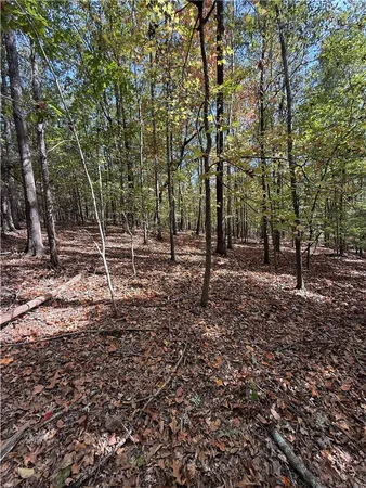 $300,000 | 0 Hunters Trail, Anderson, SC 29625