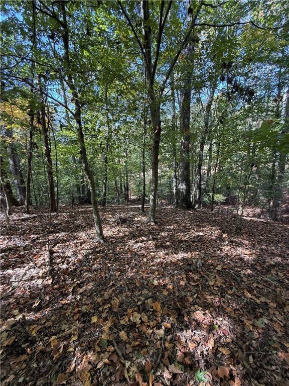 0 Hunters Trail Anderson, SC 29625 - Photo 8 of 14