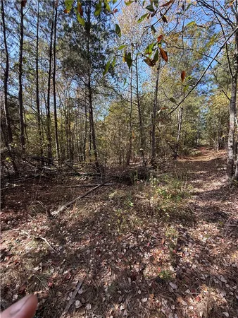 $300,000 | 0 Hunters Trail, Anderson, SC 29625
