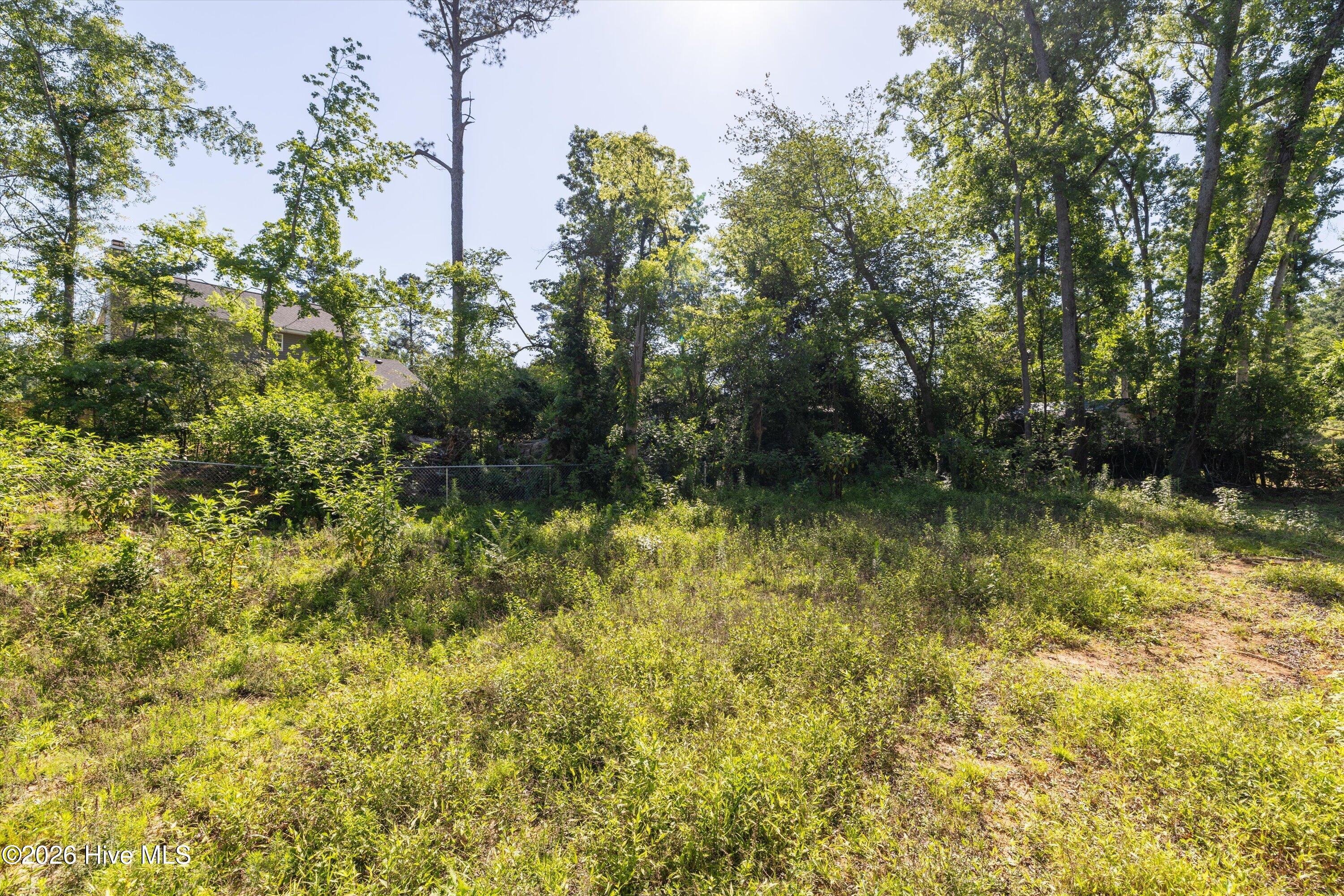 3769 Silver Mine Road Martinez, GA 30907 - Photo 54 of 55
