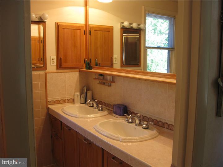 415 Andrew Road Merion Station, PA 19066 - Photo 12 of 23 Master Bathroom