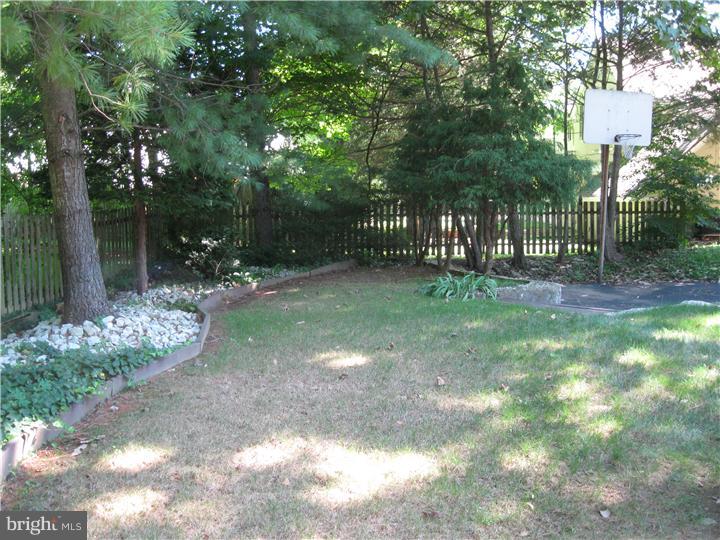 415 Andrew Road Merion Station, PA 19066 - Photo 23 of 23 Back Yard