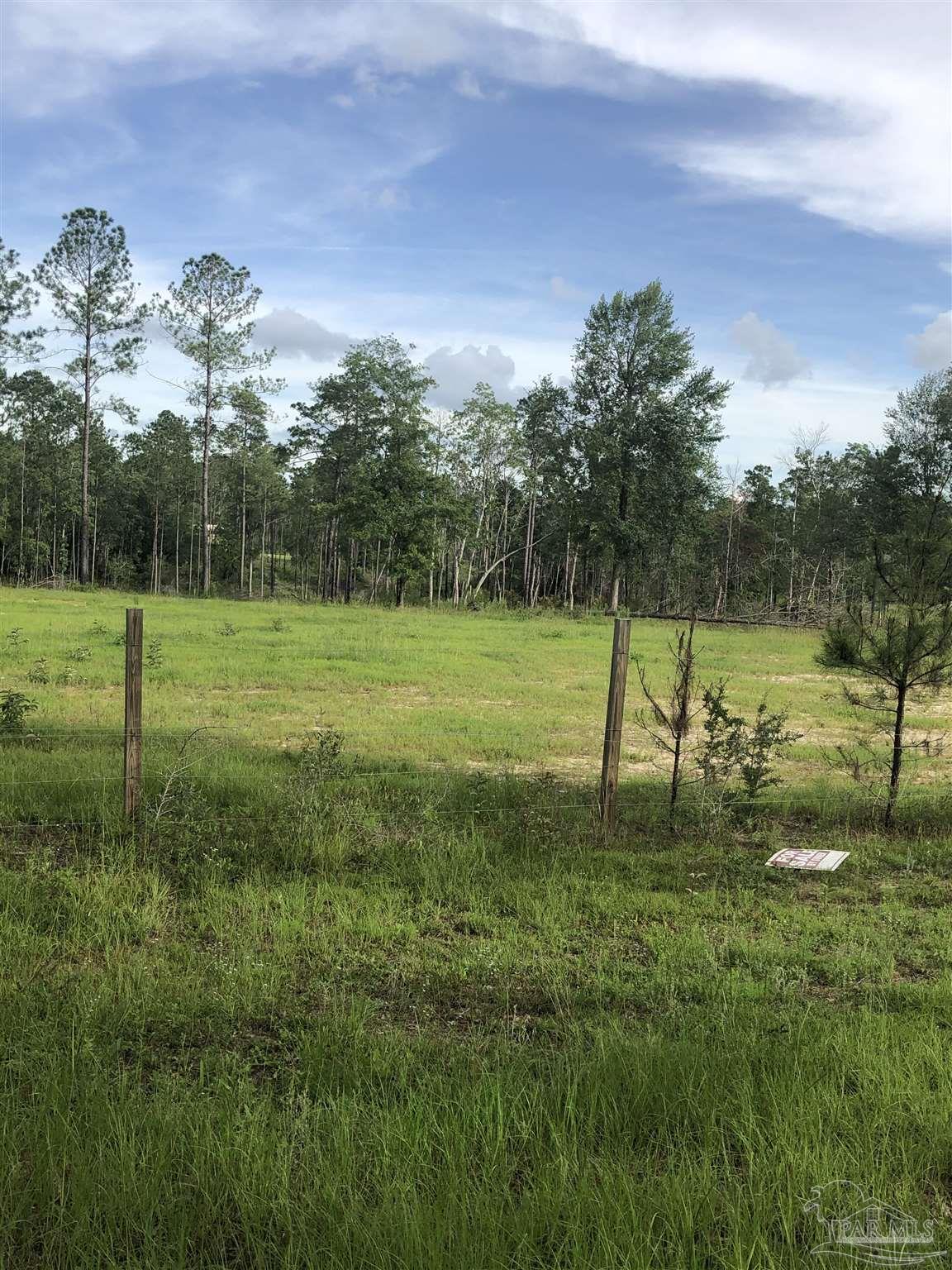 Lot 2 Mile Road Pace, FL 32571 - Photo 2 of 16
