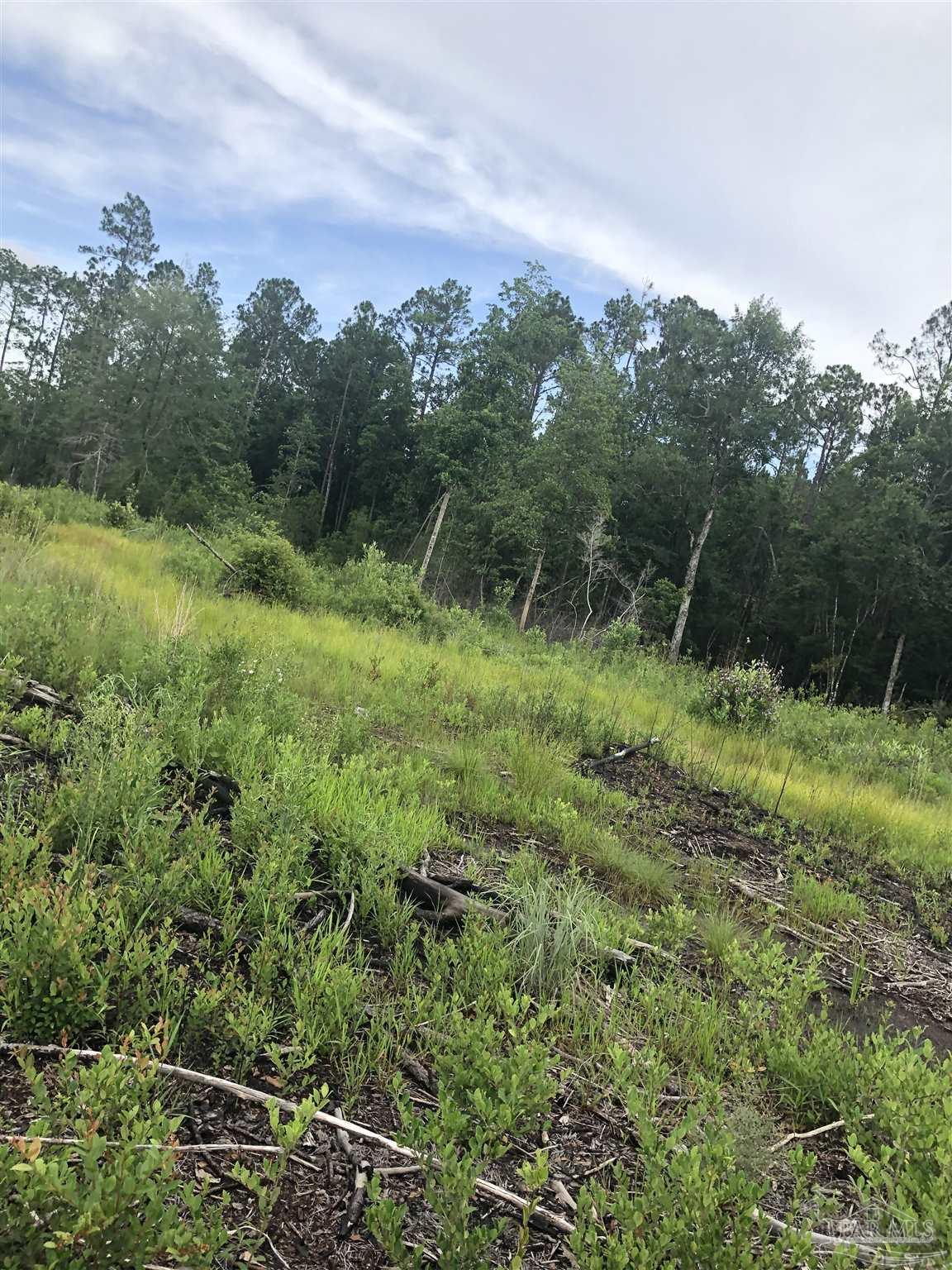 Lot 2 Mile Road Pace, FL 32571 - Photo 11 of 16