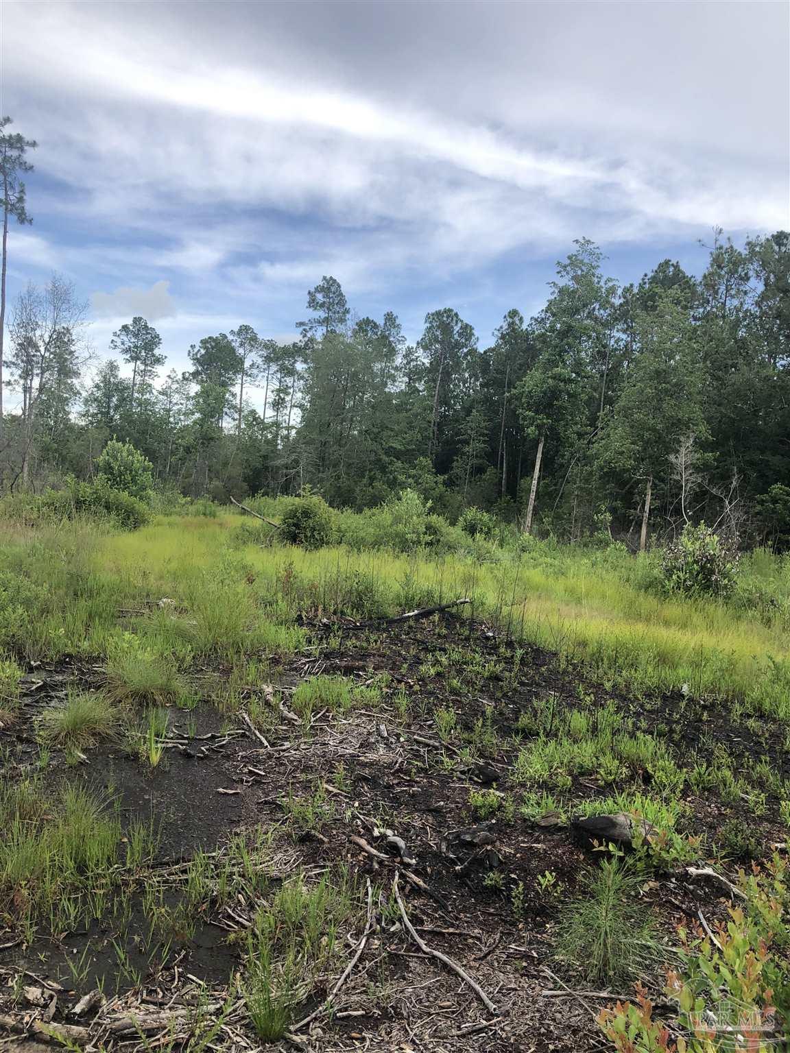 Lot 2 Mile Road Pace, FL 32571 - Photo 12 of 16