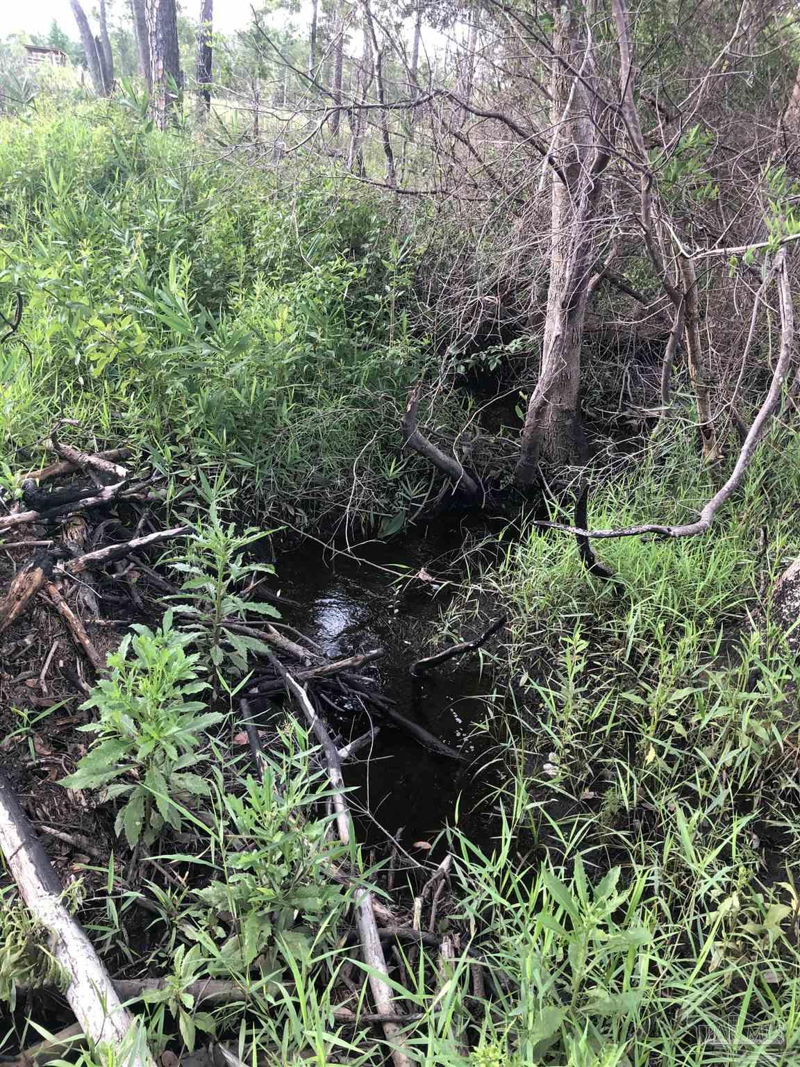 Lot 2 Mile Road Pace, FL 32571 - Photo 13 of 16