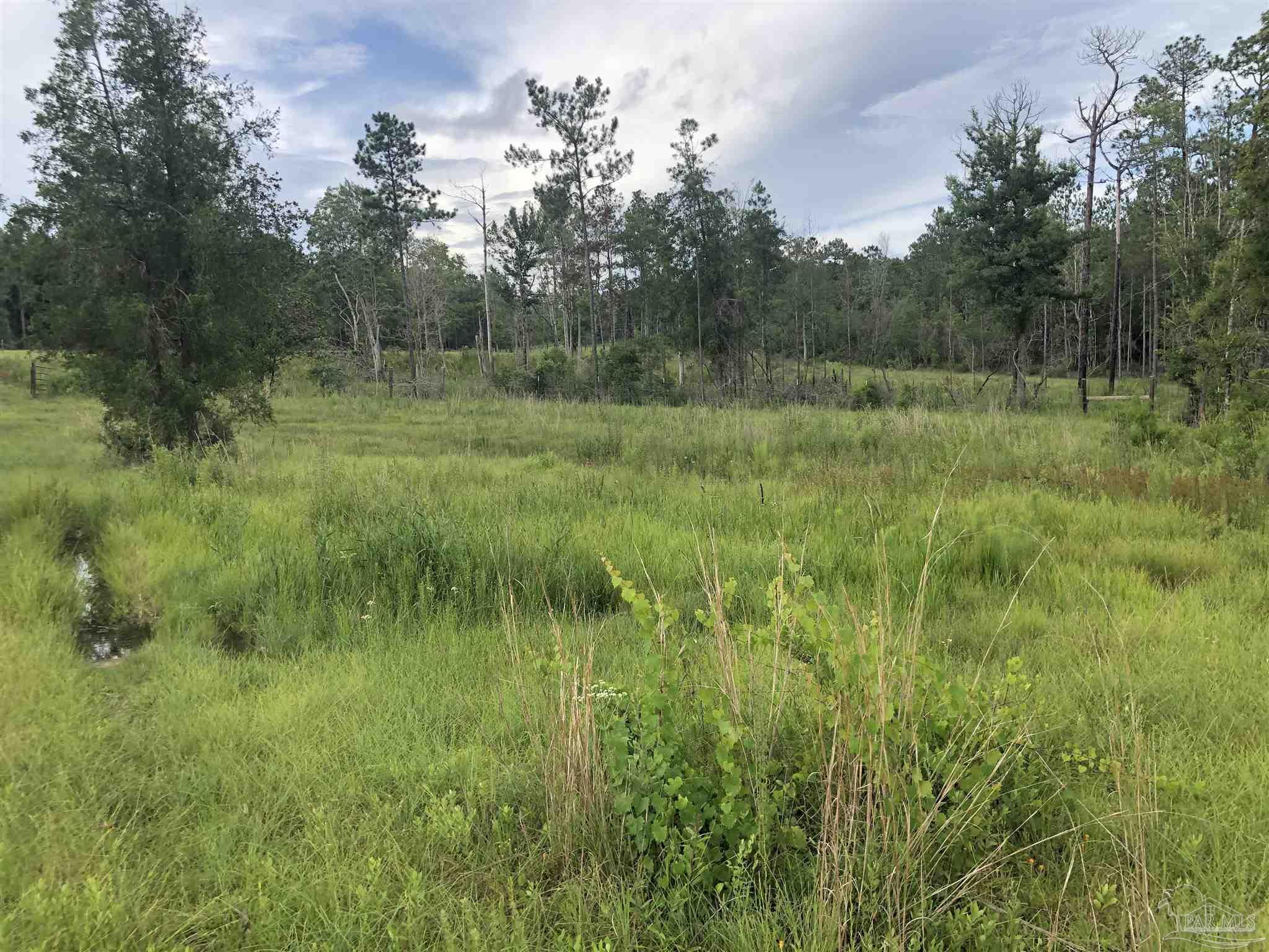 Lot 2 Mile Road Pace, FL 32571 - Photo 14 of 16
