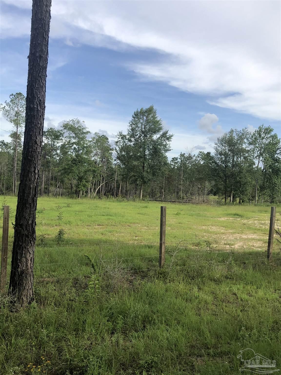 Lot 2 Mile Road Pace, FL 32571 - Photo 3 of 16