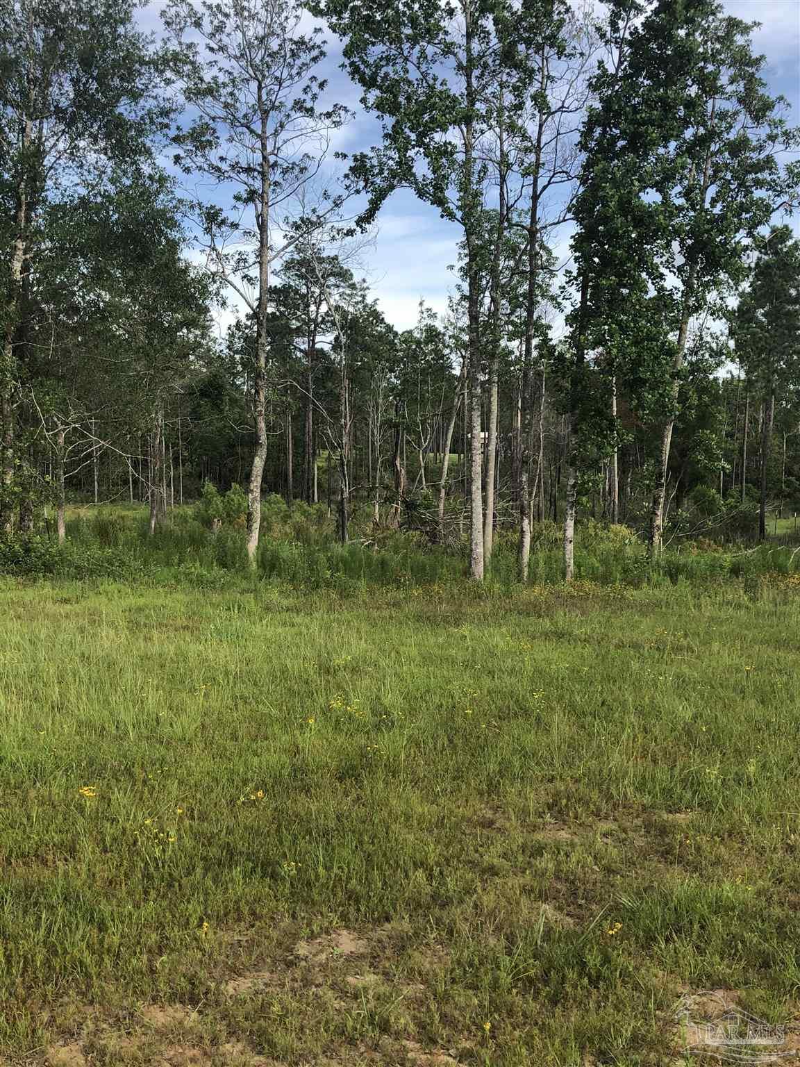 Lot 2 Mile Road Pace, FL 32571 - Photo 4 of 16
