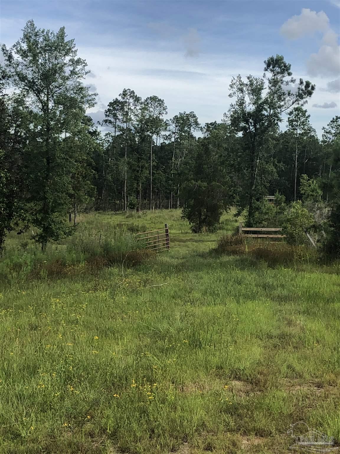 Lot 2 Mile Road Pace, FL 32571 - Photo 5 of 16