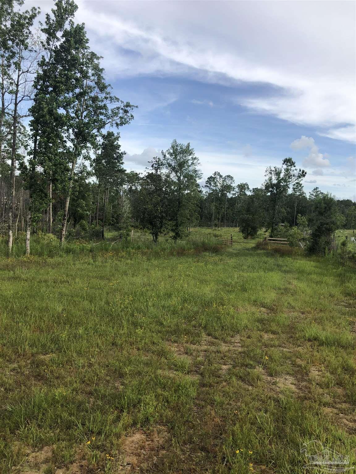 Lot 2 Mile Road Pace, FL 32571 - Photo 6 of 16