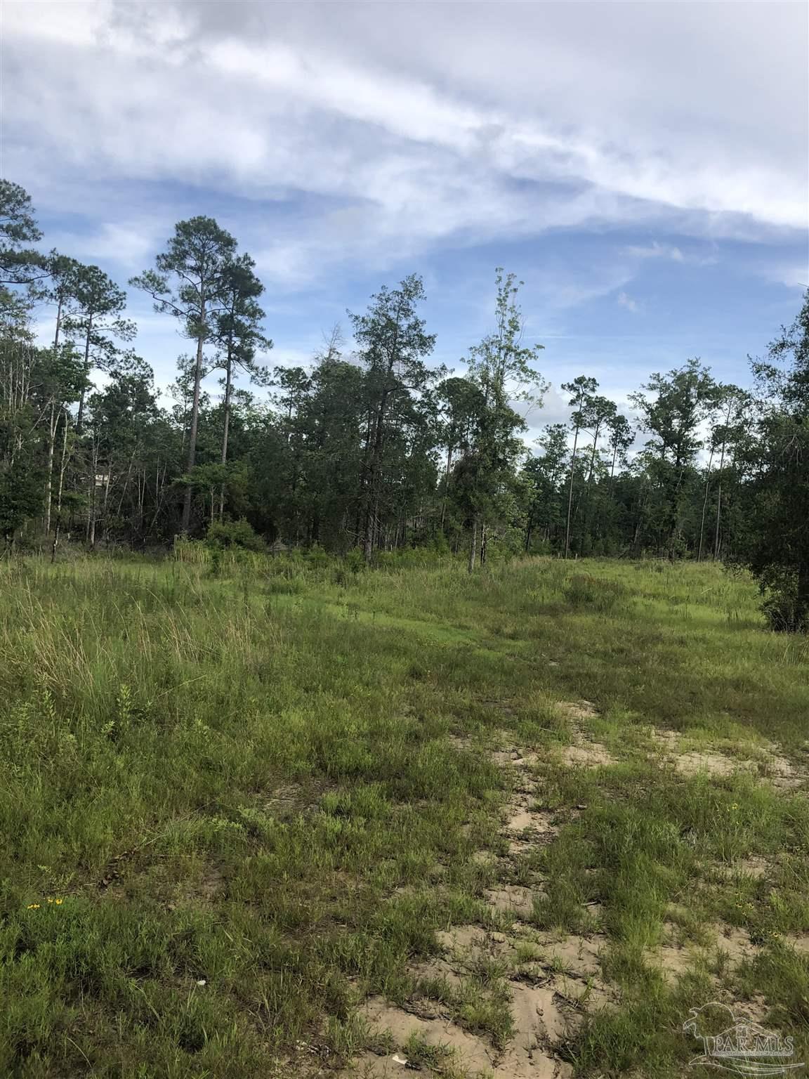 Lot 2 Mile Road Pace, FL 32571 - Photo 7 of 16