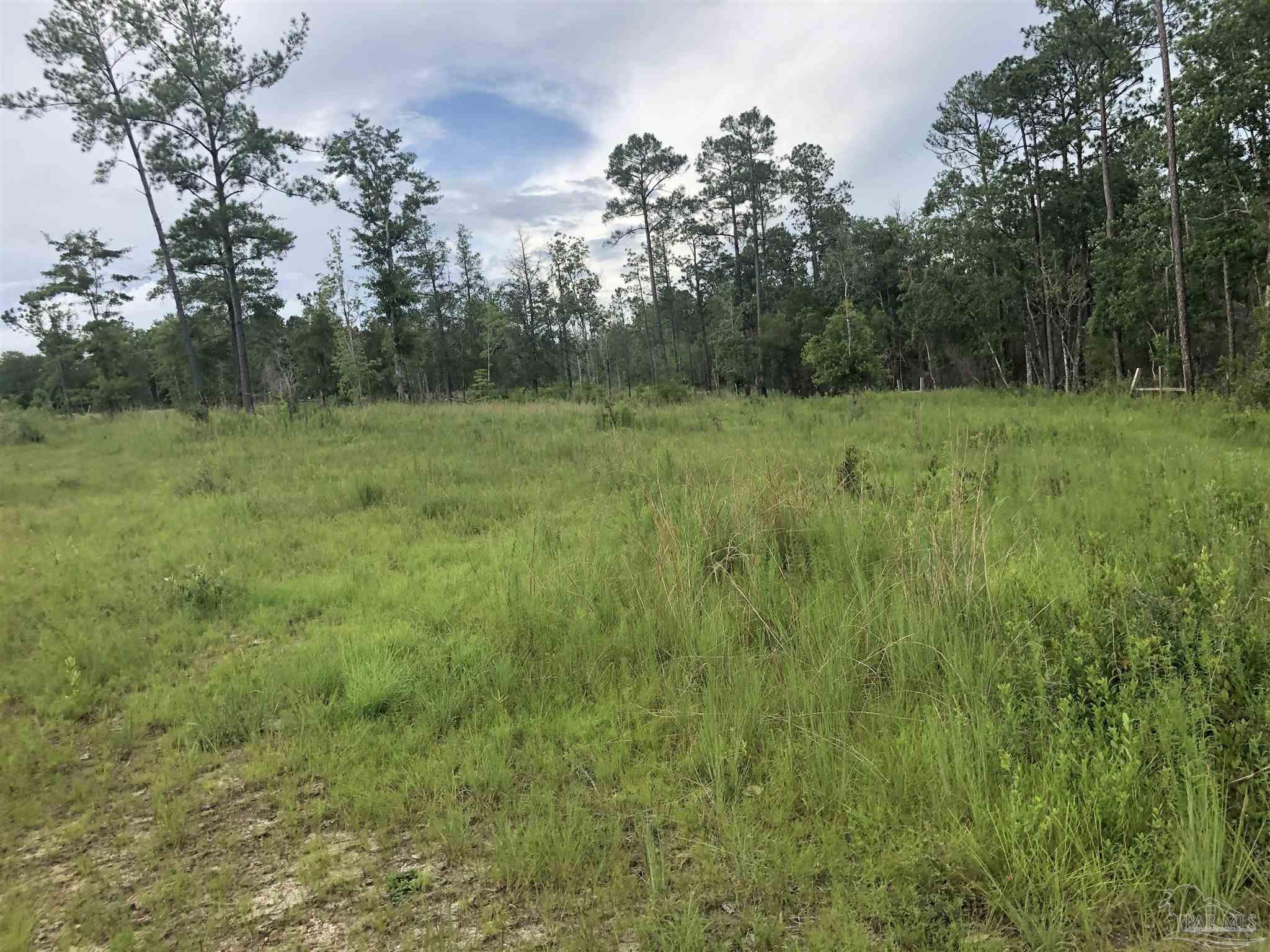 Lot 2 Mile Road Pace, FL 32571 - Photo 8 of 16