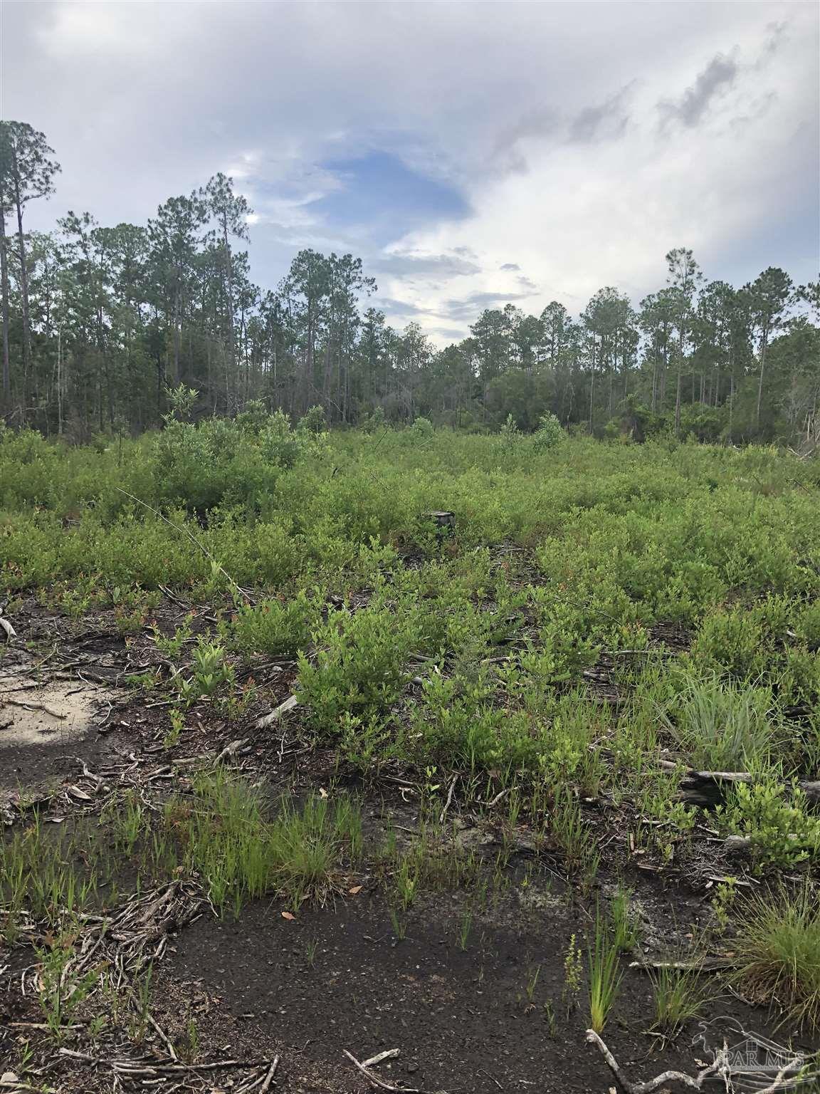 Lot 2 Mile Road Pace, FL 32571 - Photo 9 of 16