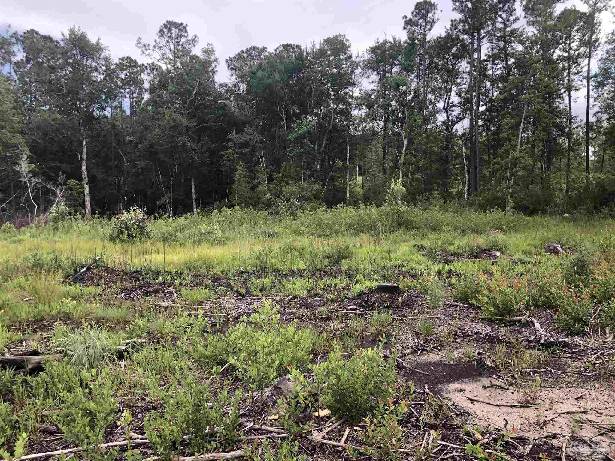 Lot 2 Mile Road Pace, FL 32571 - Photo 10 of 16