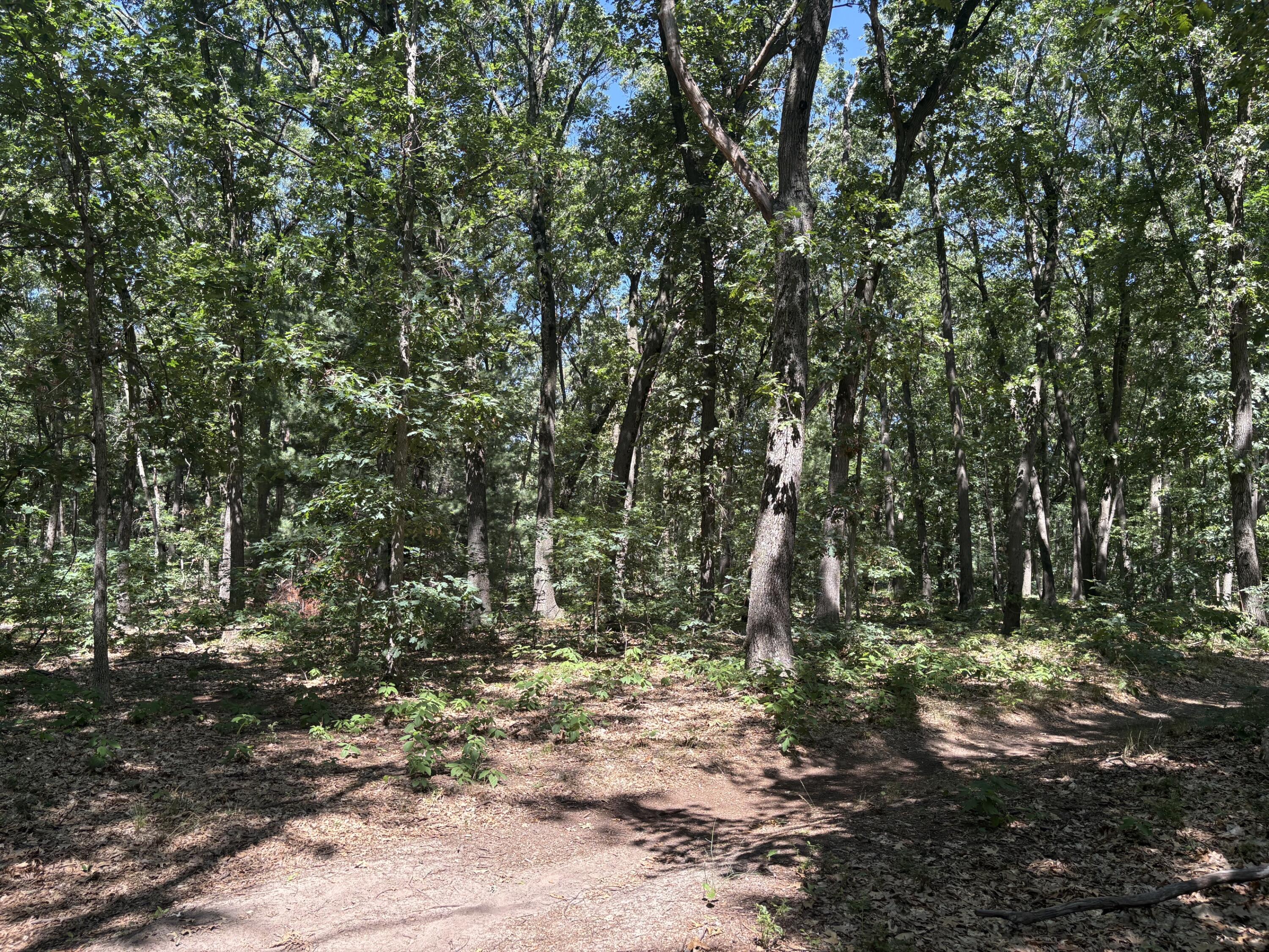 575 South Wolf Lake Road Muskegon, MI 49442 - Photo 41 of 55 IMG_9416