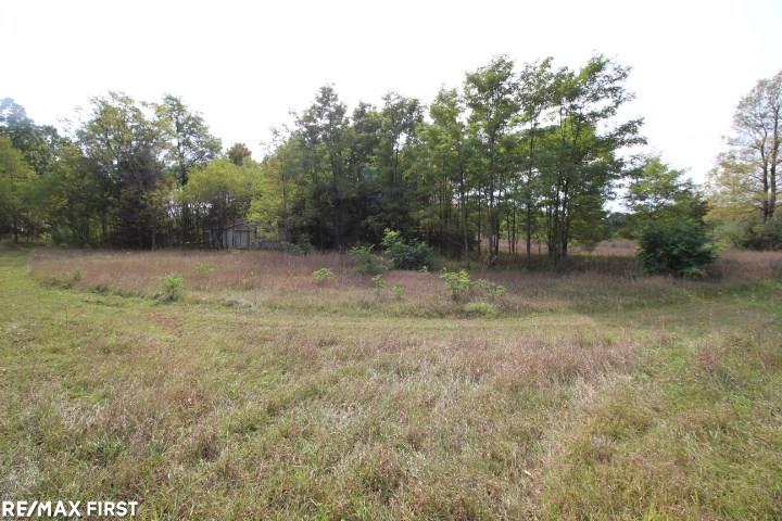 12180 Ellsworth Lake Road Gregory, MI 48137 - Photo 6 of 8