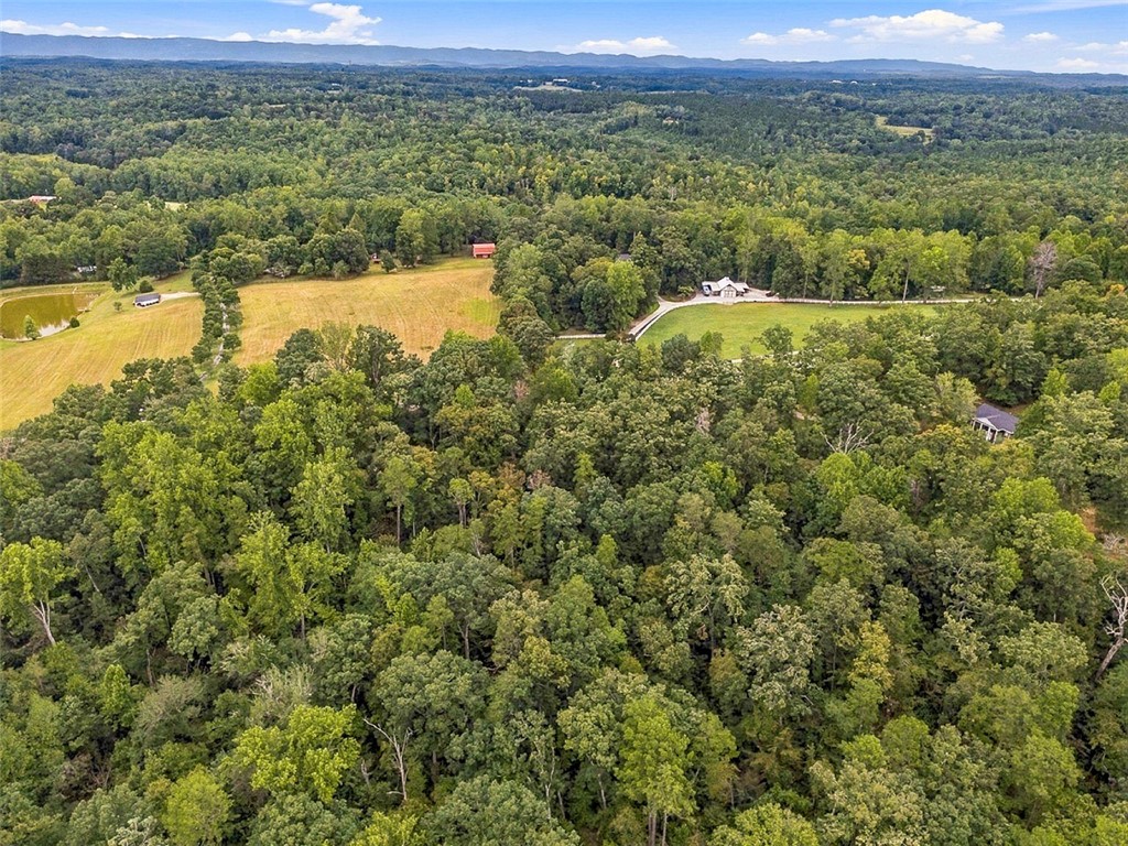 0 Lenhardt Road Easley, SC 29640 - Photo 6 of 11 Lush woodlands roll toward distant mountain ridges under a bright blue sky.