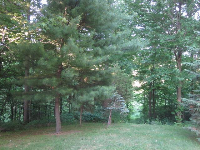 56543 Twin Lakes Road Cassopolis, MI 49031 - Photo 15 of 16 Additional Photo