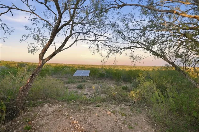 a view of a yard with an ocean