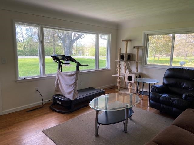 8571 Rives Junction Road Rives Junction, MI 49277 - Photo 10 of 14 Photo 10