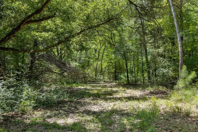 a view of a field with trees in the background
