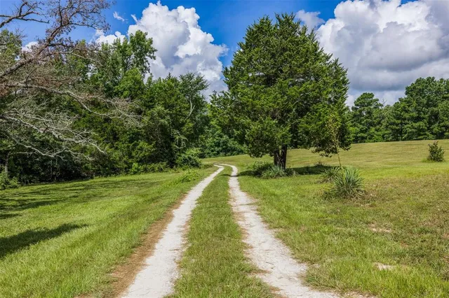 $1,600,000 | 164 Fcr 400, Buffalo, TX 75831