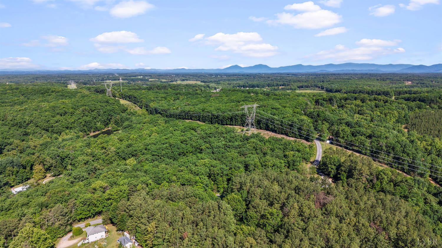 675 Pacoman Road Evington, VA 24550 - Photo 53 of 57