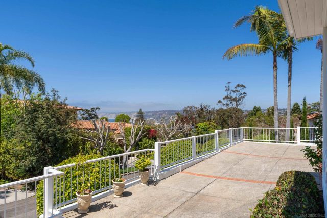 a view of a yard with plants and palm trees