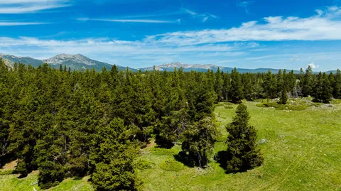 $5,750,000 | Hazelton Road, Buffalo, WY 82834