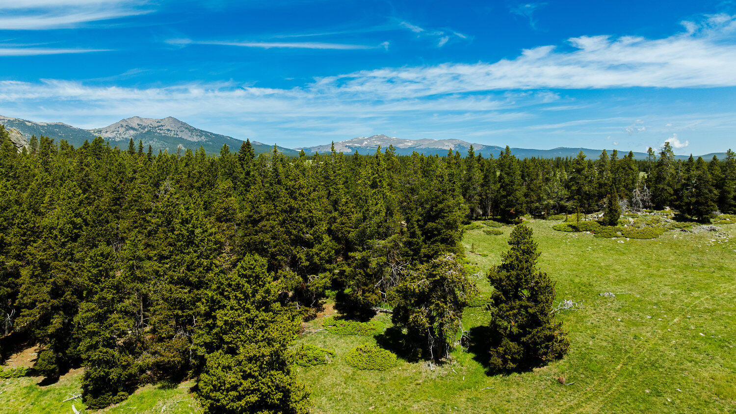 Hazelton Road Buffalo, WY 82834 - Photo 52 of 79 052_dji_20250628112104_0599_d_672