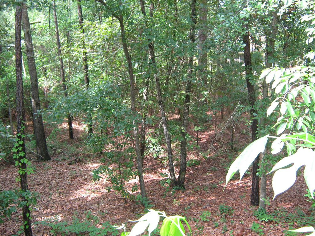 1520 Pine Log Road Aiken, SC 29803 - Photo 14 of 19