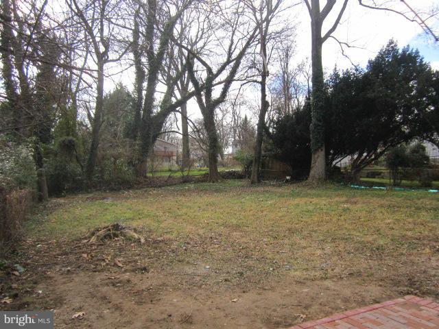 2902 Loma Street Silver Spring, MD 20910 - Photo 19 of 30 Exterior (Rear)