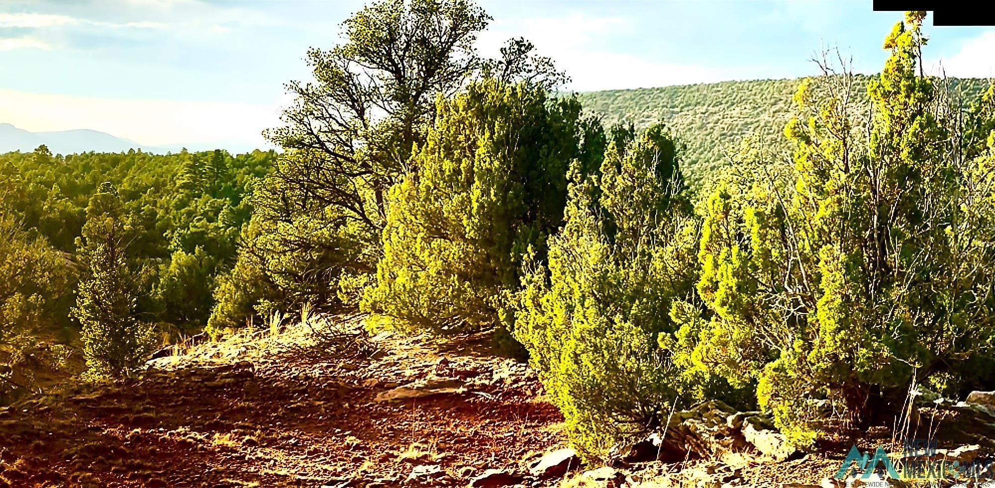 0 West Sena Ranch Road Serafina, NM 87569 - Photo 18 of 26 Gallery Image 18