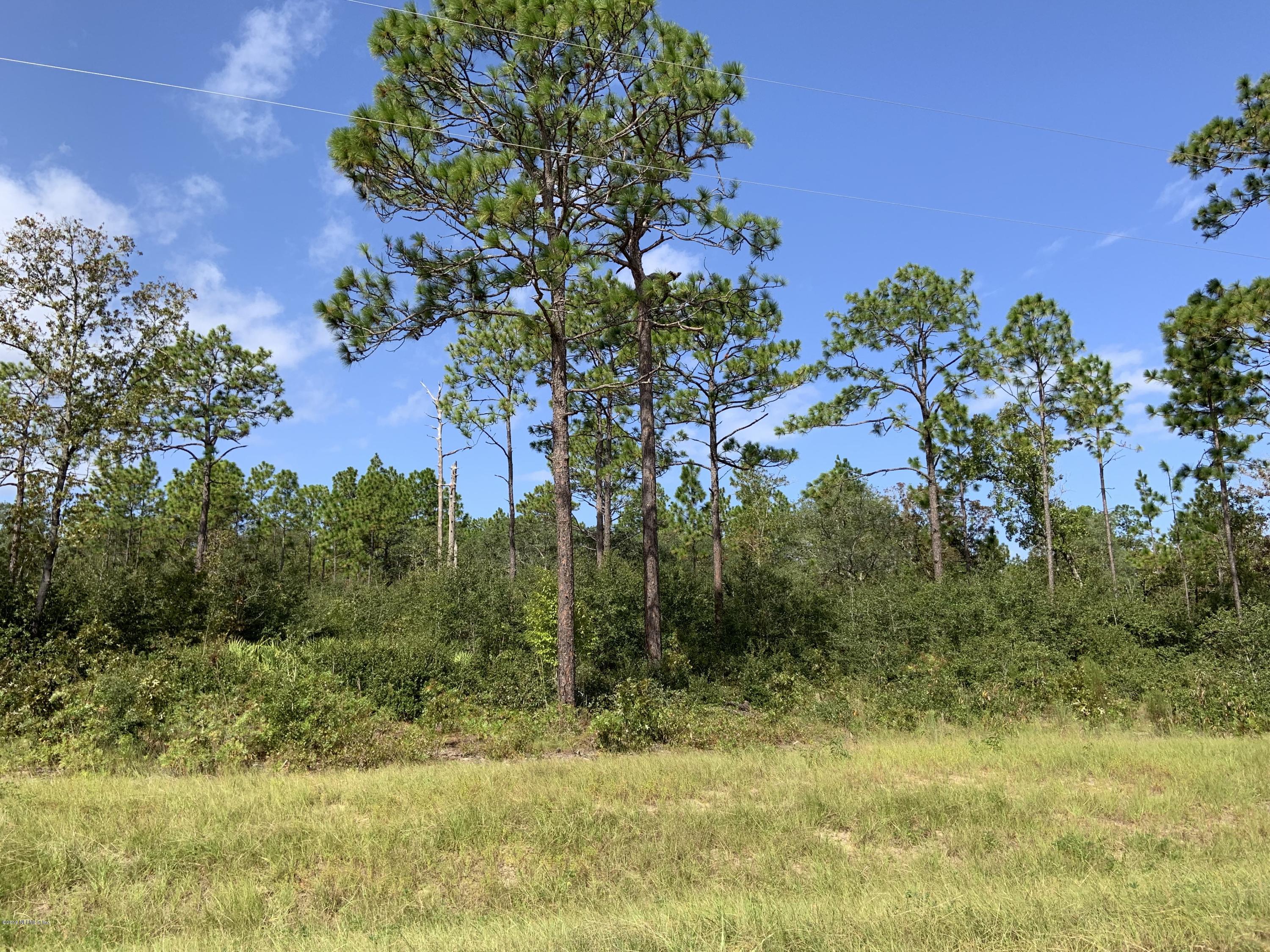 7976 Odom Rnch Trail Keystone Heights, FL 32656 - Photo 1 of 8 Land