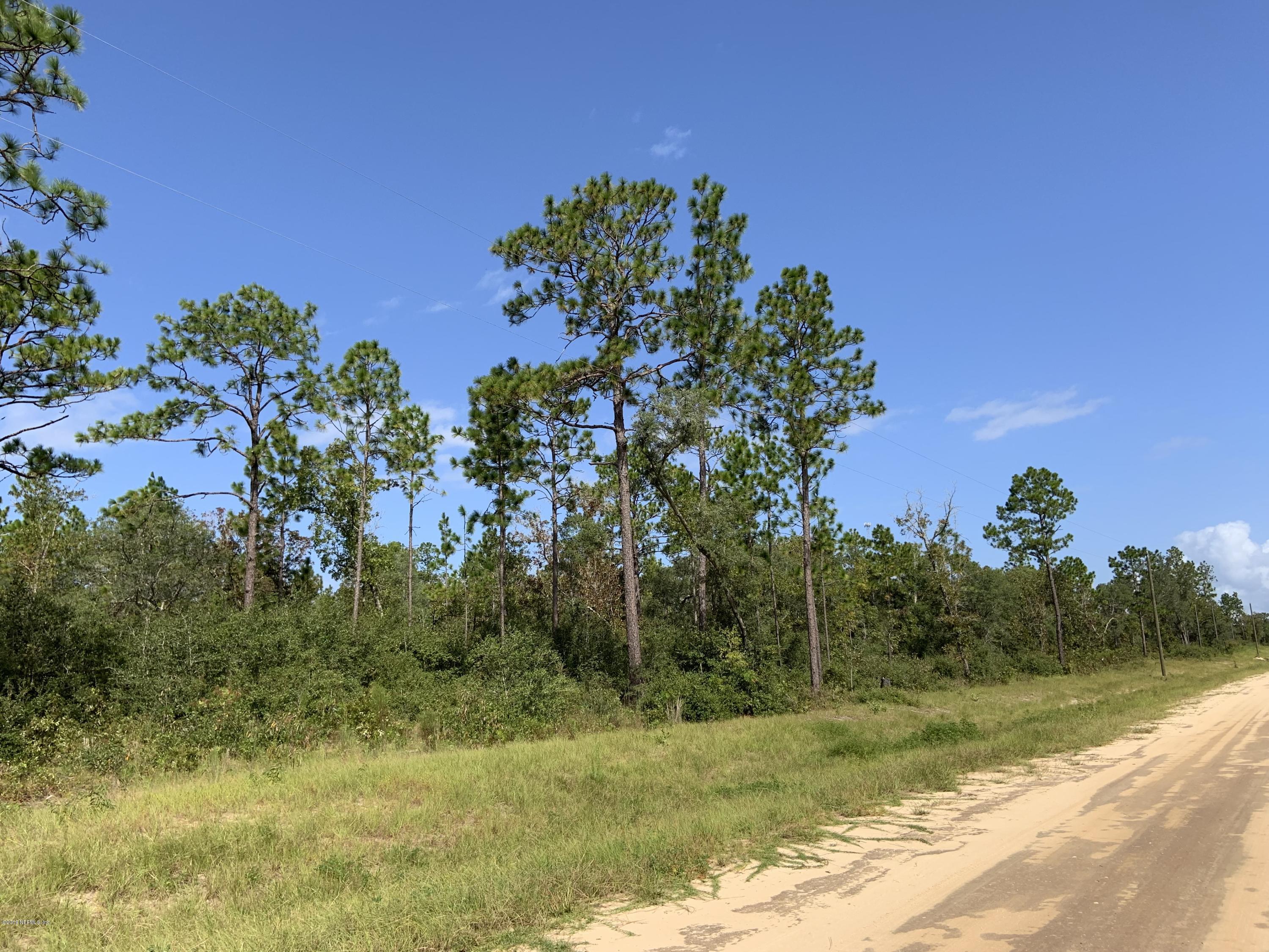 7976 Odom Rnch Trail Keystone Heights, FL 32656 - Photo 3 of 8 Land