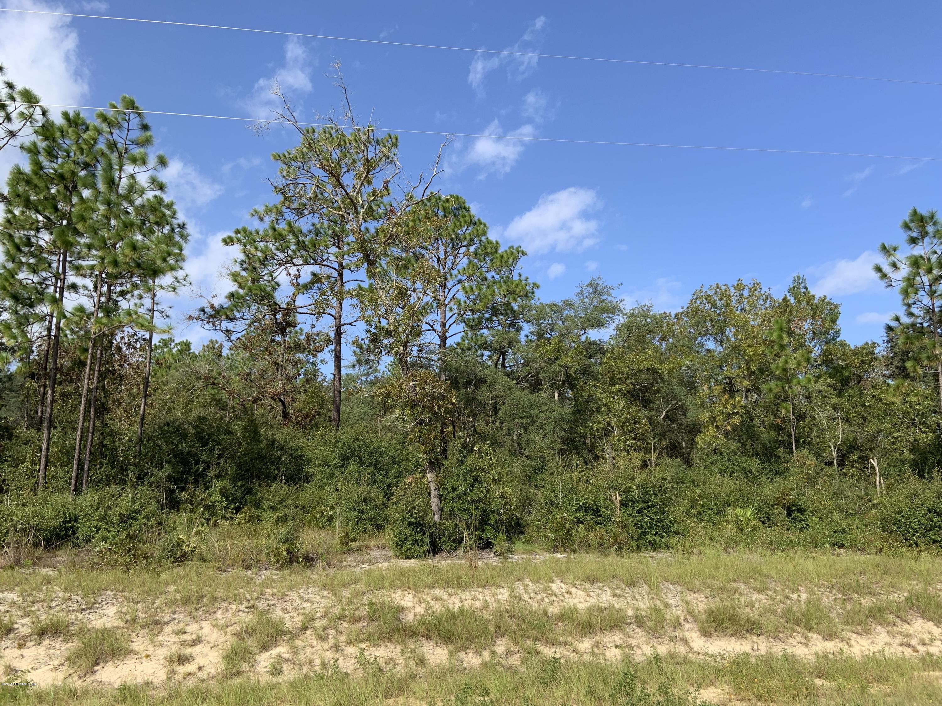 7976 Odom Rnch Trail Keystone Heights, FL 32656 - Photo 4 of 8 Land