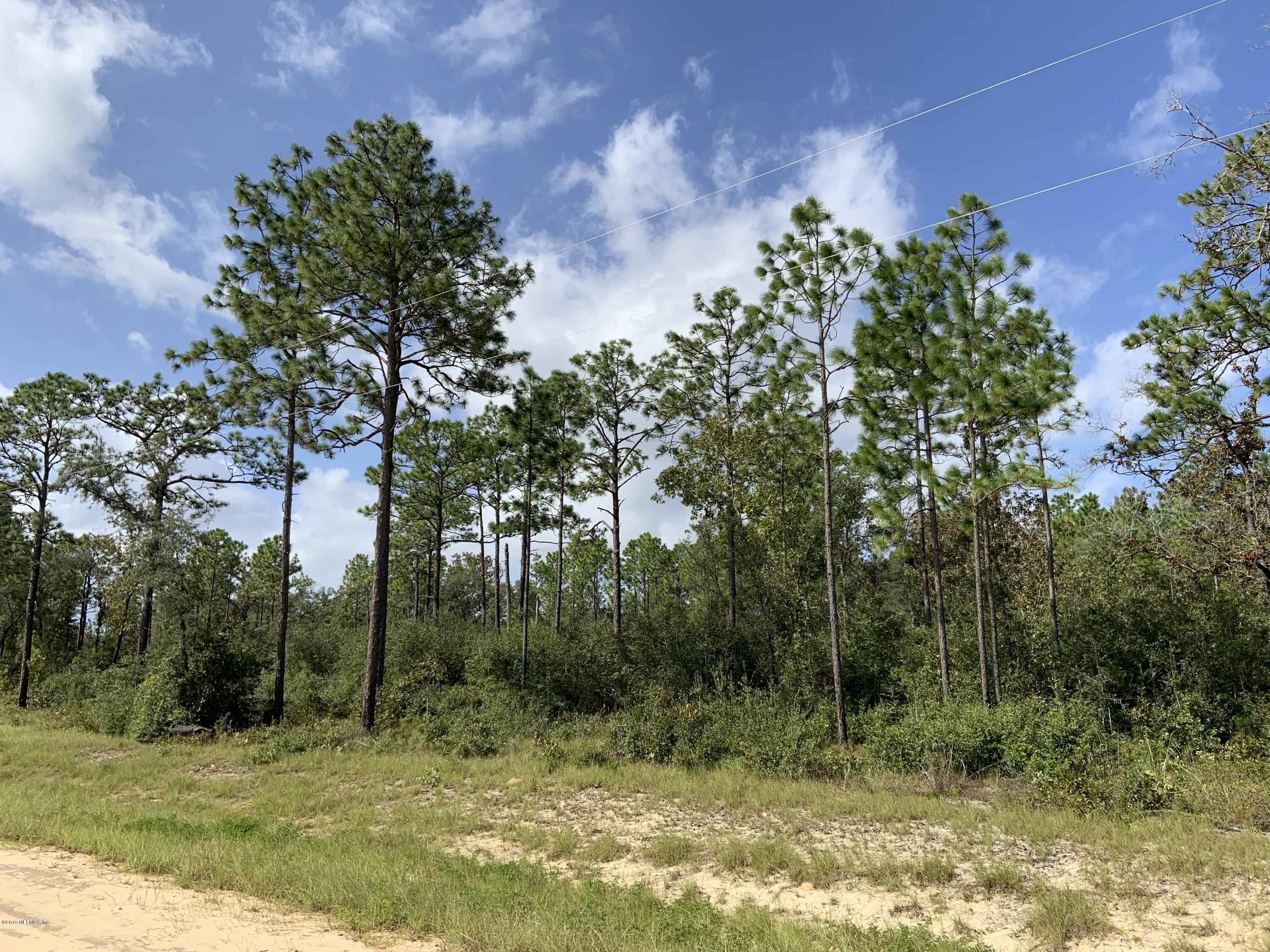 7976 Odom Rnch Trail Keystone Heights, FL 32656 - Photo 5 of 8 Land