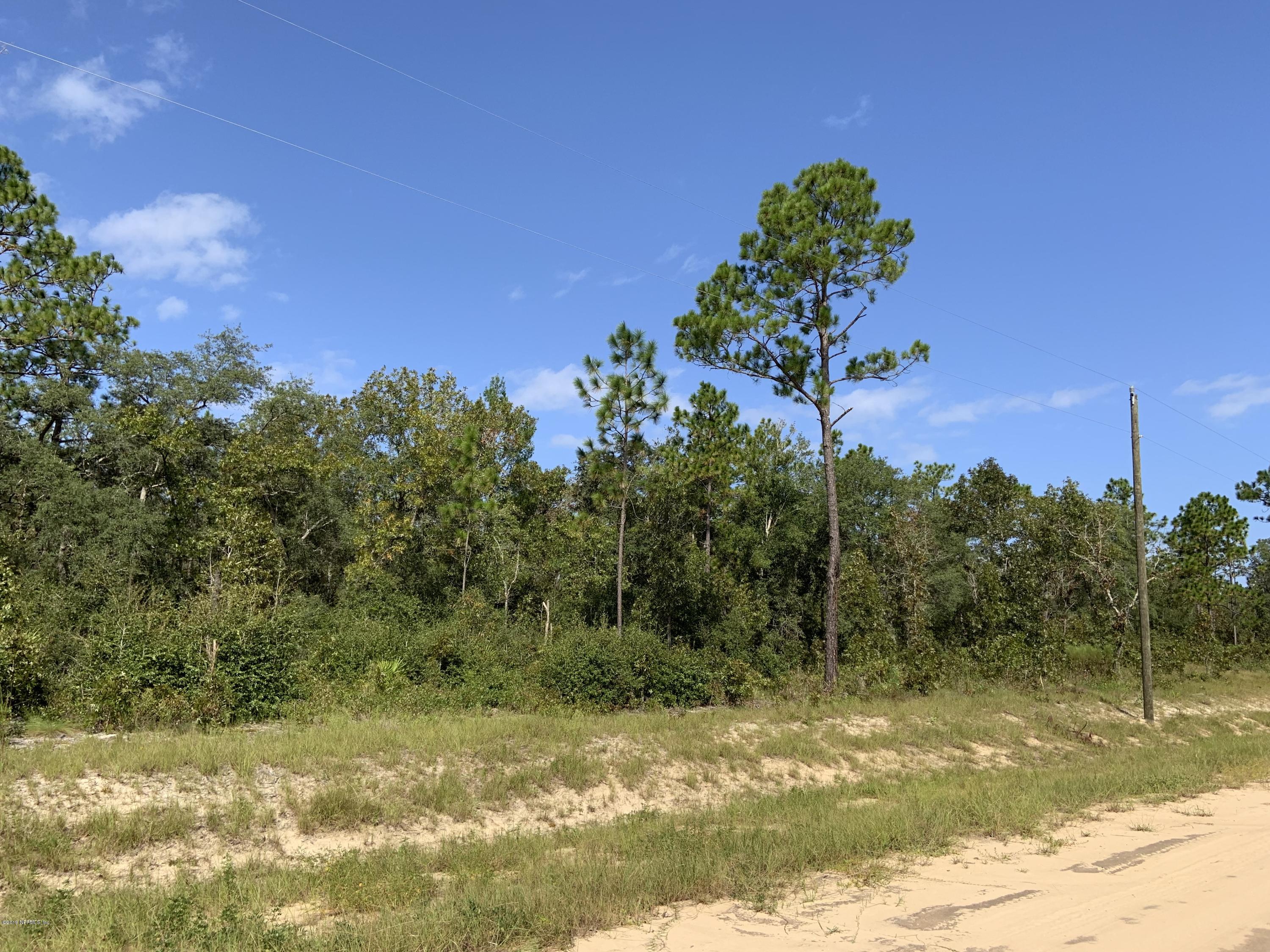 7976 Odom Rnch Trail Keystone Heights, FL 32656 - Photo 6 of 8 Land