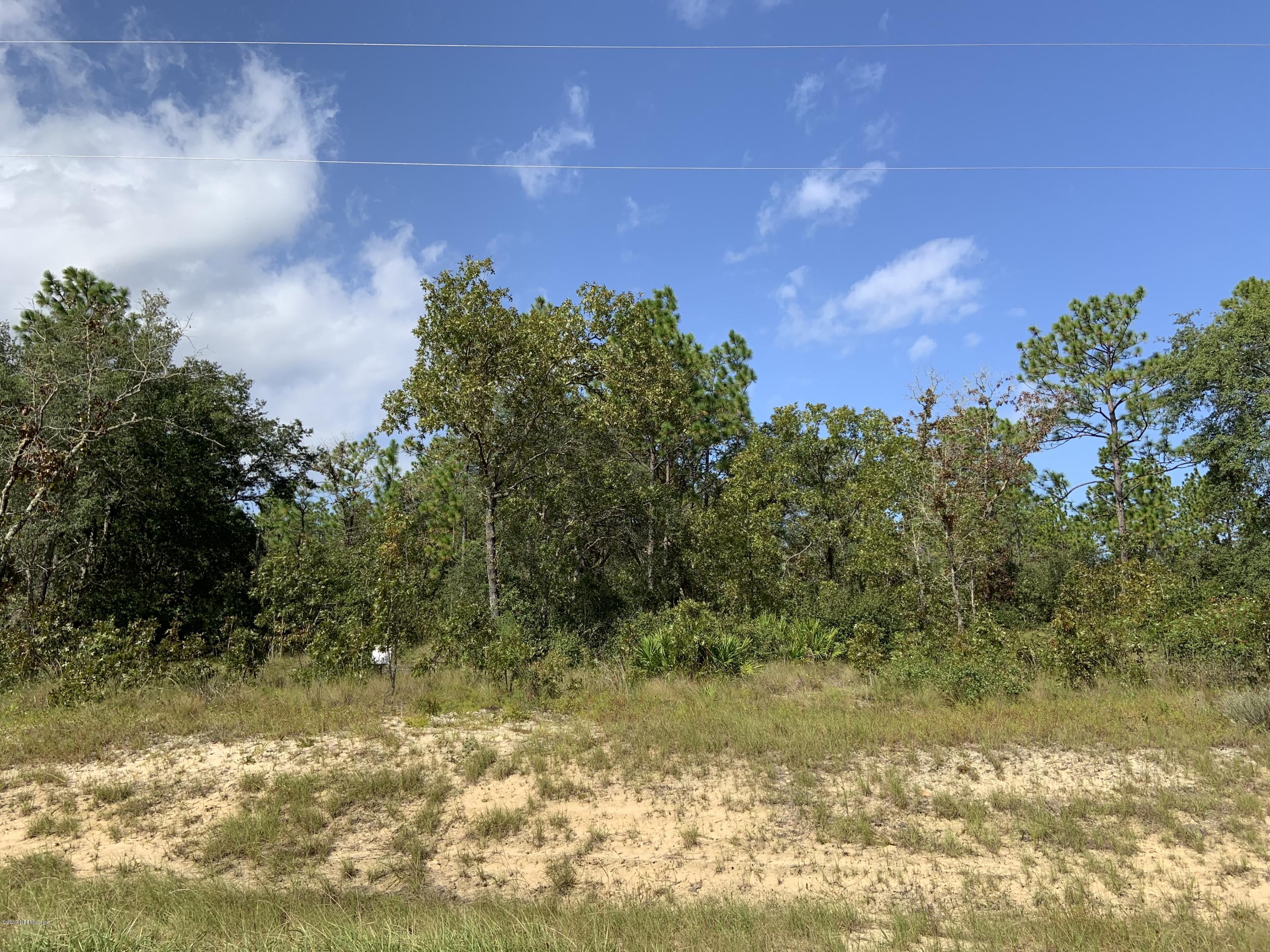 7976 Odom Rnch Trail Keystone Heights, FL 32656 - Photo 7 of 8 Land