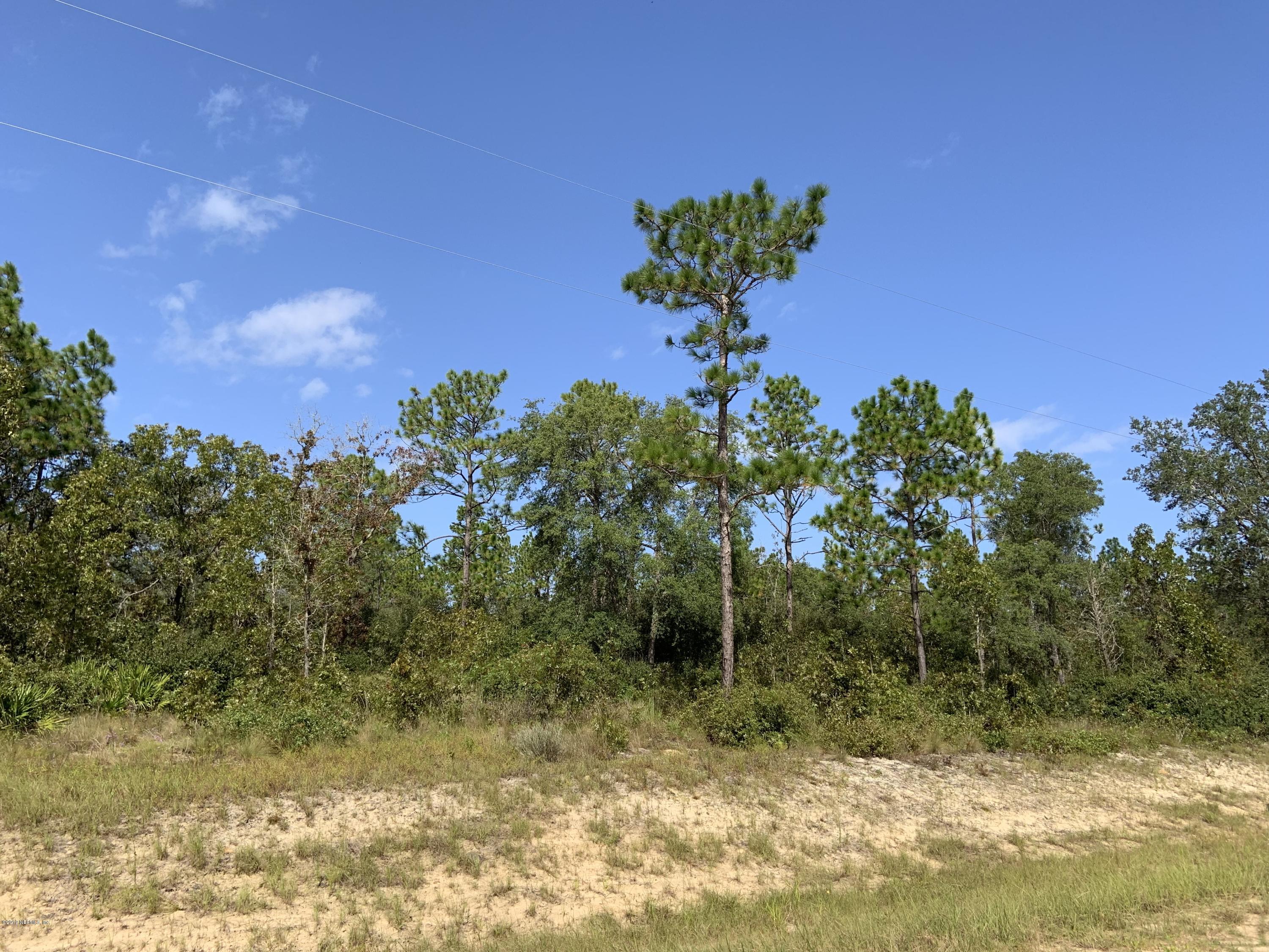7976 Odom Rnch Trail Keystone Heights, FL 32656 - Photo 8 of 8 Land