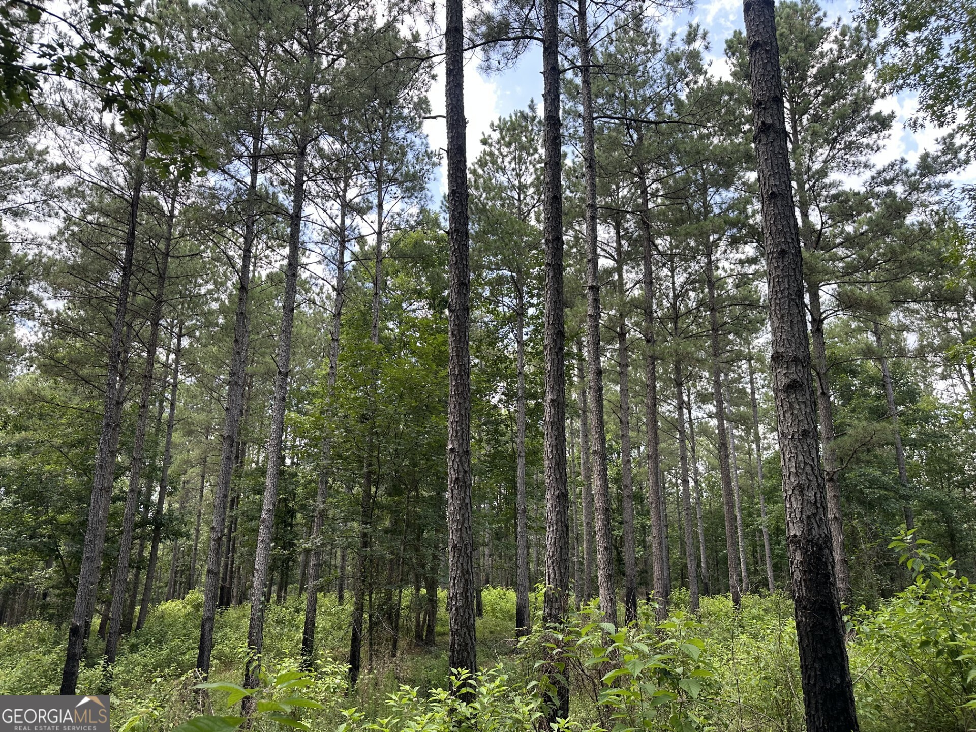 360 Happy Hollow Road Comer, GA 30629 - Photo 29 of 31