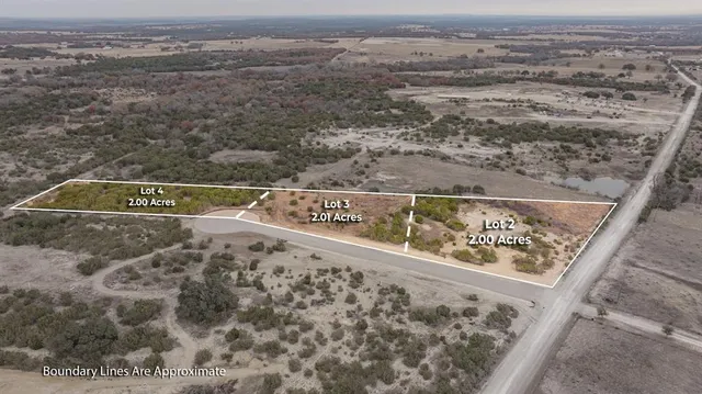 a view of a dry yard in a forest
